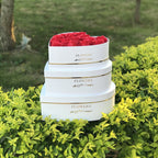 Heart boxes