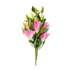 Oriental Lillies 015*505