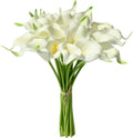 Calla Lilies 37*003