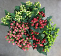 Hypericum 14*501