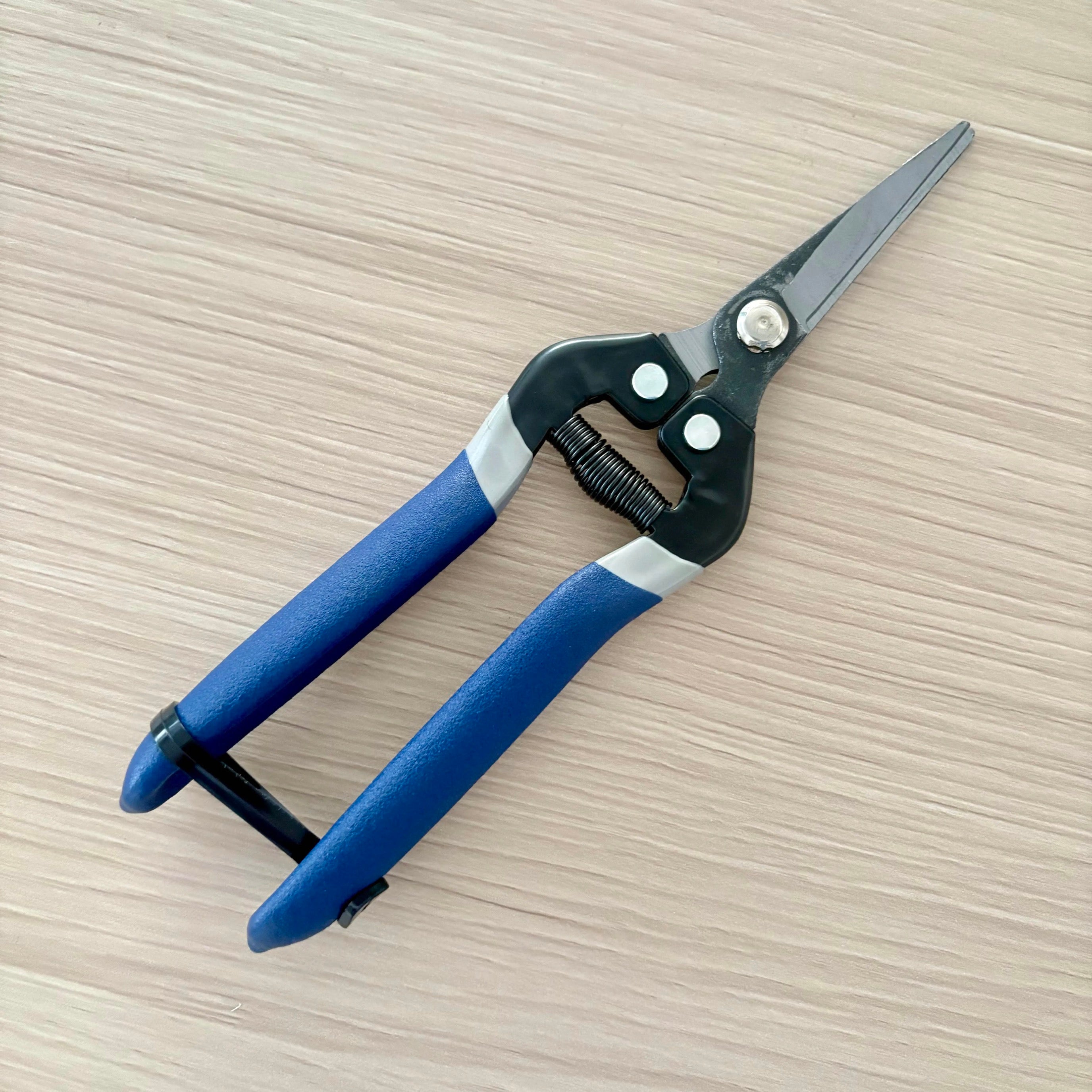 Blue Cutters