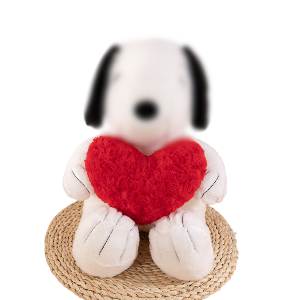 Snoop heart