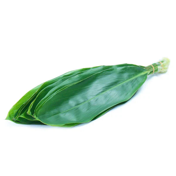 Green Ti Leaf 1546