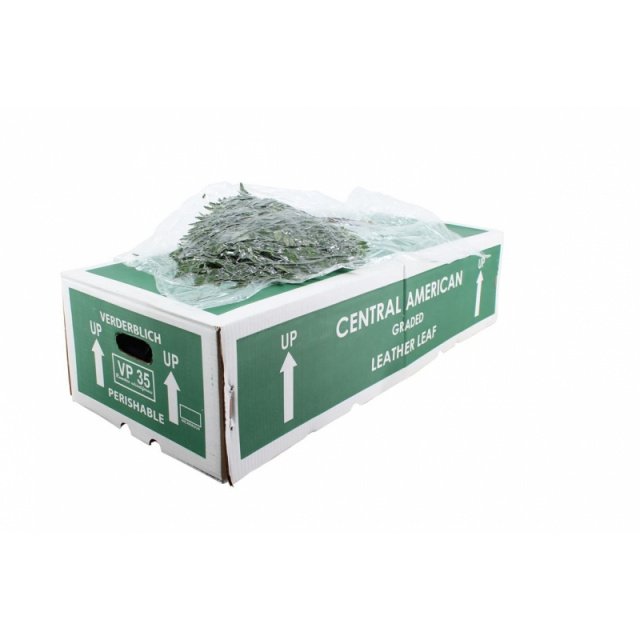 Leather Leaf Box 051*158