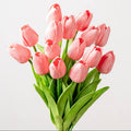 Tulips 0459