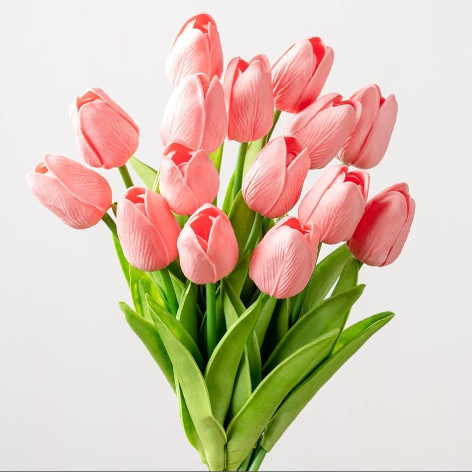 Tulips 0459